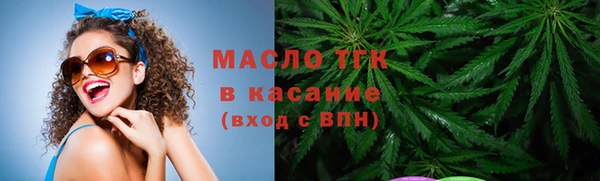 мдпв Инта