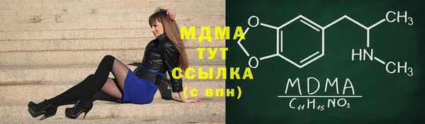 мдпв Инта