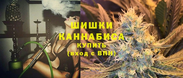 мдпв Инта