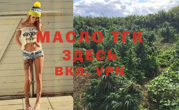 мдпв Инта
