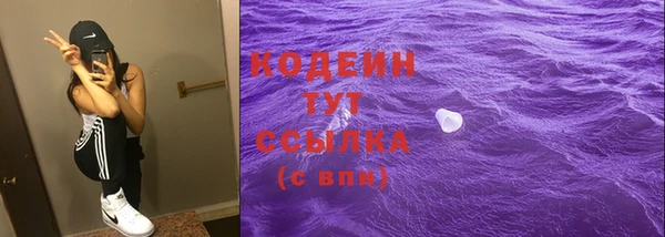 мдпв Инта
